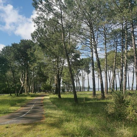 Appartements Au Coeur Du Golf, Proche Du Lac Et Velodyssee Biscarrosse Kültér fotó