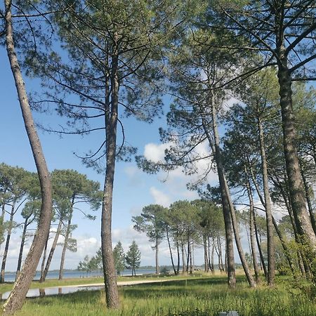 Appartements Au Coeur Du Golf, Proche Du Lac Et Velodyssee Biscarrosse Kültér fotó